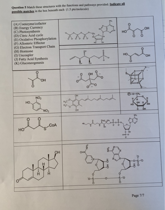 Question 5 Match these structures with the functions and pathways provided. Indicate all possible matches in the box beneath