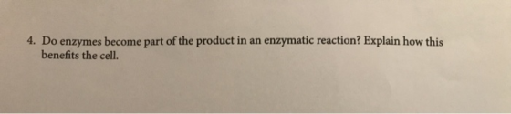 4. Do enzymes become part of the product in an enzymatic reaction? Explain how this benefits the cell.