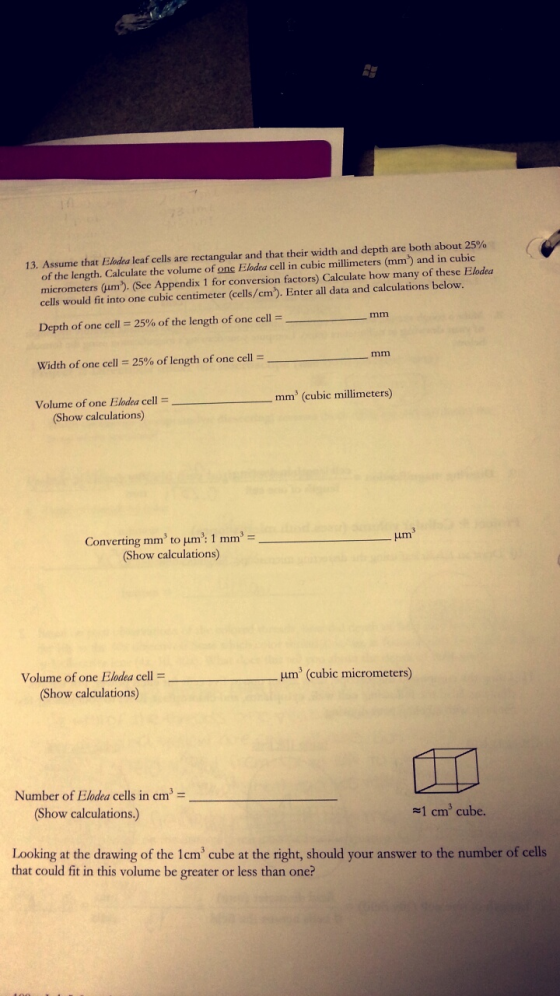 Assume that Elodea leaf cells are rectangular and