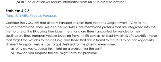 (NOTE: This question will require information from Unit 6 in order to answer it). Problem 4.2.3 (tags: #SNARES, #vesicle tran