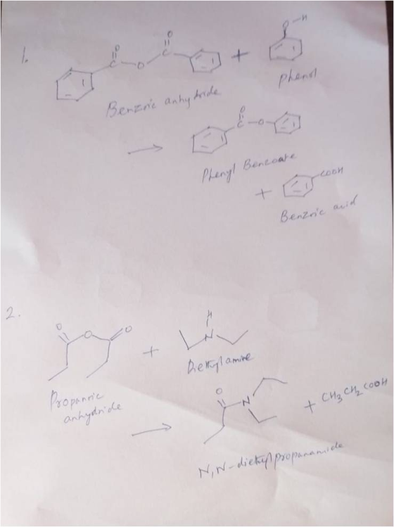 Phend Benzine anhydriole Phenyl Bercoate rtoon - Г Rethustamine Propannic + CH₂ CH₂COOH anhydride N,N-dietes propananice
