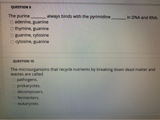 QUESTION 9 in DNA and RNA. The purine always binds with the pyrimidine o adenine, guanine o thymine, guanine o guanine, cytos