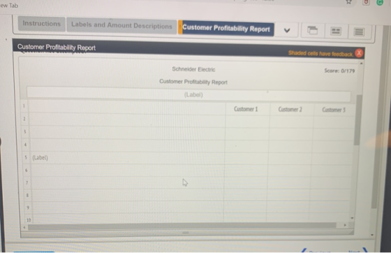 w Tab Instructions Labels and Amount Descriptions Customer Profitability Report Customer Profitability Report Shaded cells ha