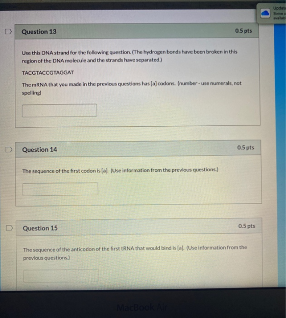 Update Some availab Question 13 0.5 pts Use this DNA strand for the following question. (The hydrogen bonds have been broken