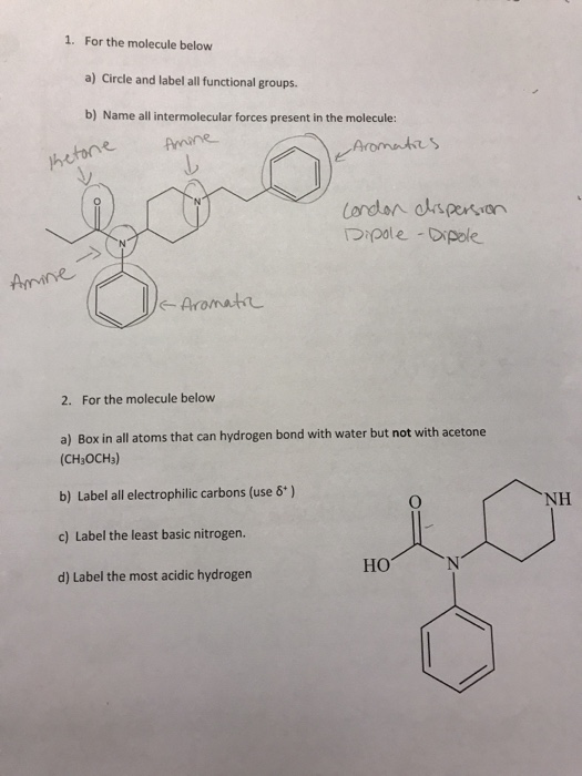 1. For the molecule below a) Circle and label all functional groups. b) Name all intermolecular forces present in the molecul