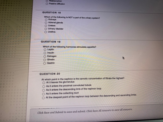 00 Reabsorption Passive diffusion QUESTION 18 Which of the folowing is NOT a part of the urinary system? Kidneys Adrenal glan