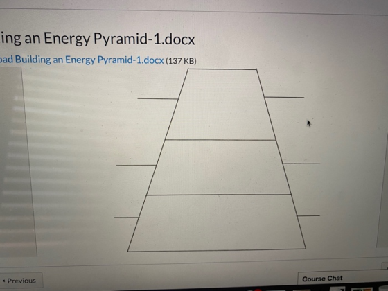 ing an Energy Pyramid-1.docx ad Building an Energy Pyramid-1.docx (137 KB) Previous Course Chat