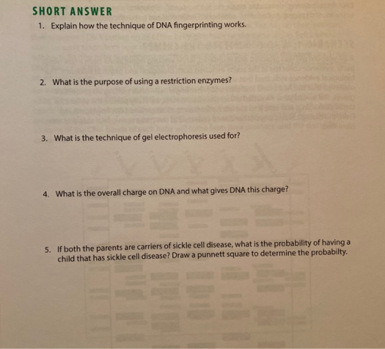 SHORT ANSWER 1. Explain how the technique of DNA fingerprinting works. 2. What is the purpose of using a restriction enzymes?