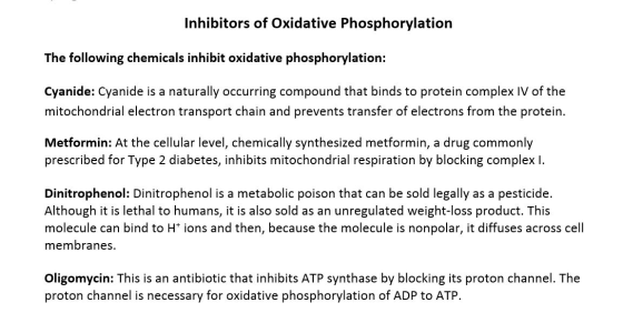 Inhibitors of Oxidative Phosphorylation The following chemicals inhibit oxidative phosphorylation: Cyanide: Cyanide is a natu