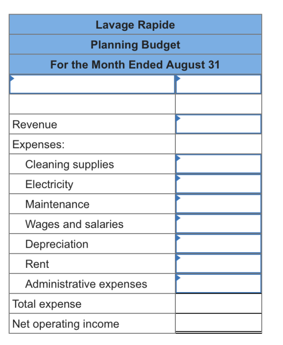 Lavage Rapide Planning Budget For the Month Ended August 31 Revenue Expenses: Cleaning supplies Electricity Maintenance Wages