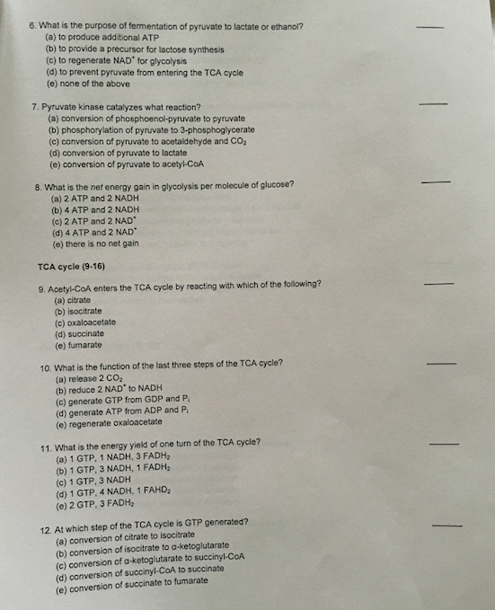 What is the purpose of fermentation of pyruvate to