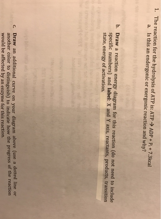 1. The reaction for the hydrolysis ofATP is: ATP ADP Pi +7.3kcal a. Is this an endergonic or exergonic reaction and why? b. Draw a reaction energy diagram for this reaction (do not need to include specific numbers) and label: x and Y axis, reactants, products, transition state, energy of activation. c. Draw an additional curve on your diagram above (use a dotted line or another color to distinguish to indicate how the progress of the reaction would be affected by an enzyme for this reaction.