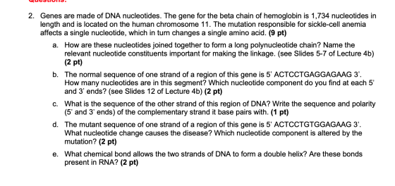 ԿԱՆՉՈ» 2. Genes are made of DNA nucleotides. The gene for the beta chain of hemoglobin is 1,734 nucleotides in length and is