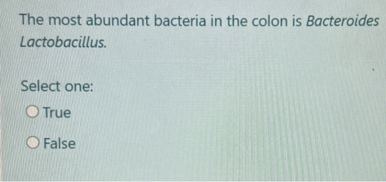 The most abundant bacteria in the colon is Bacteroides Lactobacillus Select one: O True O False