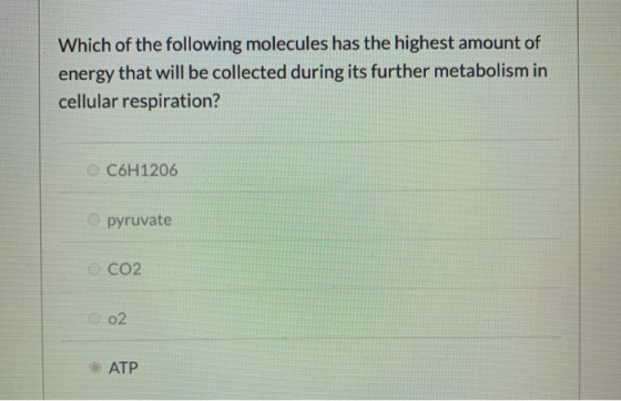 Which of the following molecules has the highest amount of energy that will be collected during its further metabolism in cel