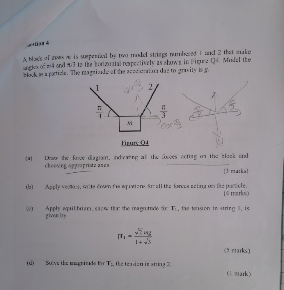 aestion 4 A block of mass m is suspended by two model strings numbered 1 and 2 that make angles of 14 and /3 to the horizonta