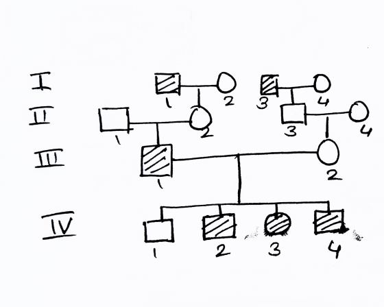 N 0 I 고 . 3 TU 2. TV 2 3. J