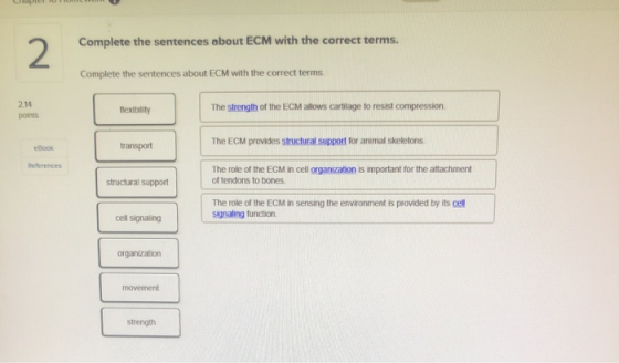 Complete the sentences about ECM with the correct terms. 2 Complete the sentences about ECM with the correct terms 2.14 The s
