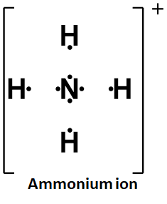 + H NH Ammonium ion