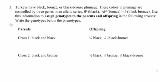 3. Turkeys have black, bronze, or black-bronze plumage. These colors in plumage are controlled by three genes in an allelic s