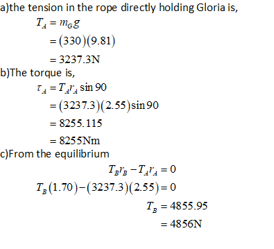 a)the tension in the rope directly holding Gloria is, T. = mg8 = (330)(9.81) = 3237.3N b)The torque is, TA=T_sin 90 = (3237.3