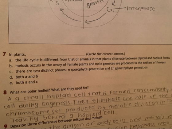growth -Interphase 7 In plants, . (Circle the correct answer.) a. the life cycle is different from that of animals in that pl