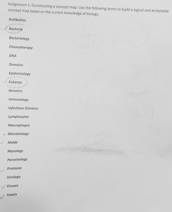 Constructing a concept map: Use the following term