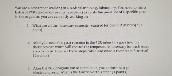 You are a researcher working in a molecular biology laboratory. You need to run a batch of PCRS (polymerase chain reaction) t