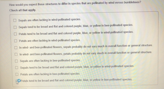 How would you expect these structures to differ in species that are pollinated by wind versus bumblebees? Check all that appl