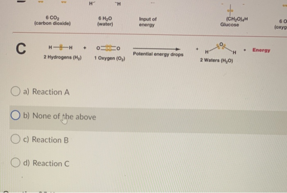 HH 6 CO2 (carbon dioxide) 60 6 H20 (water) Input of energy (CH20).H Glucose (oxyg Energy H-4H + 0 0 2 Hydrogens (H2) 1 Oxygen