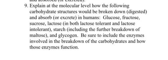 9. Explain at the molecular level how the following carbohydrate structures would be broken down (digested) and absorb (or ex