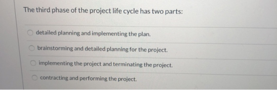 The third phase of the project life cycle has two parts: detailed planning and implementing the plan. brainstorming and detai