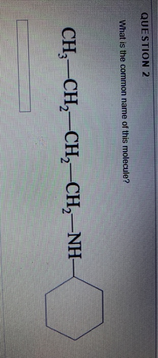 QUESTION 2 What is the common name of this molecule? CH3–CH2–CH2–CH–NH-
