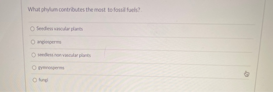 What phylum contributes the most to fossil fuels? Seedless vascular plants angiosperms seedless non vascular plants O gymnosp