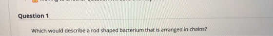 Question 1 Which would describe a rod shaped bacterium that is arranged in chains?