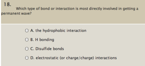 Image for 18. Which type of bond or interaction is most directly involved in getting a permanent wave? A. the hydrophobi