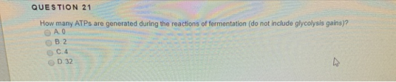 QUESTION 21 How many ATPs are generated during the reactions of fermentation (do not include glycolysis gains)? O AO OB. 0.4