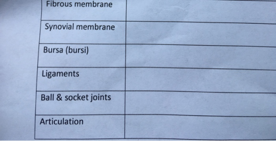 Fibrous membrane Synovial membrane Bursa (bursi) Ligaments Ball & socket joints Articulation