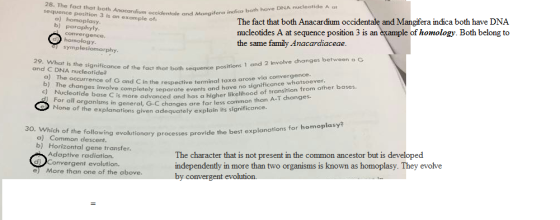 28. The fact that both Anacardium occidentale sequence position 3 is an example of: and Mangifera indico both have DNA nucleo