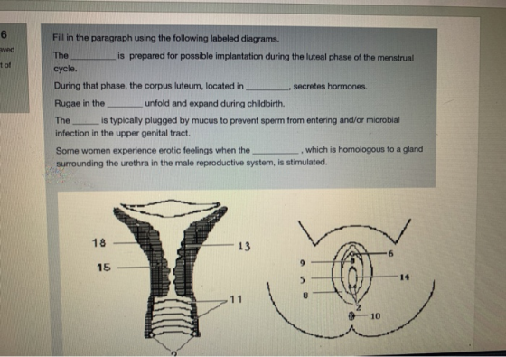 aved tof Fill in the paragraph using the following labeled diagrams. The is prepared for possible implantation during the lut