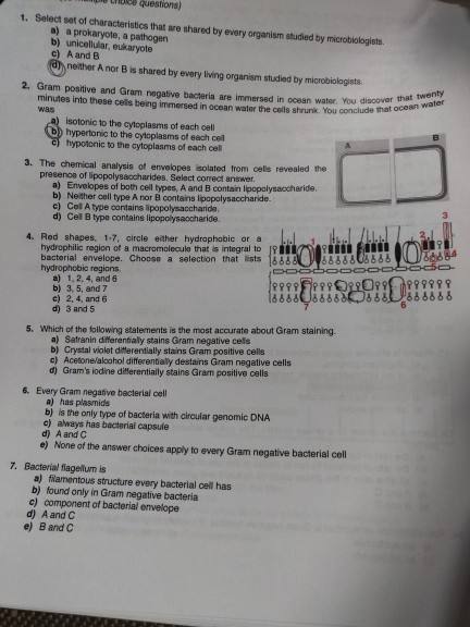 equestions) 1. Select set of characteristica that are shared by every orgenism studied by microbologists. a) a prokaryote, a