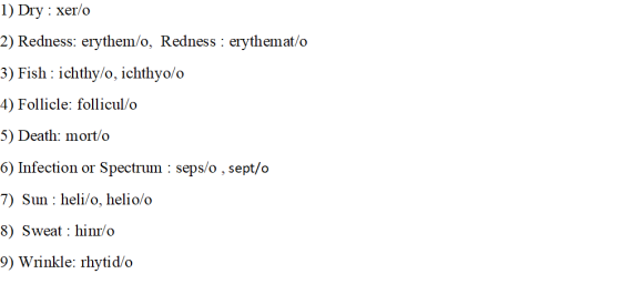 1) Dry : xer/o 2) Redness: erythem/o, Redness: erythemat/o 3) Fish: ichthy/o, ichthyo/o 4) Follicle: follicul/o 5) Death: mort/o 6) Infection or Spectrum : seps/o , sept/o 7) Sun : heli/o, helio/o 8) Sweat: hinr/o 9) Wrinkle: rhytid/o