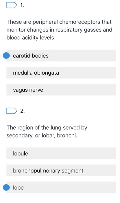 D 1. These are peripheral chemoreceptors that monitor changes in respiratory gasses and blood acidity levels carotid bodies m