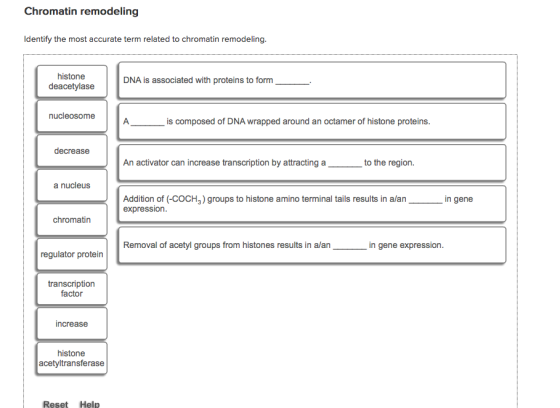 Identify the most accurate term related to chromat