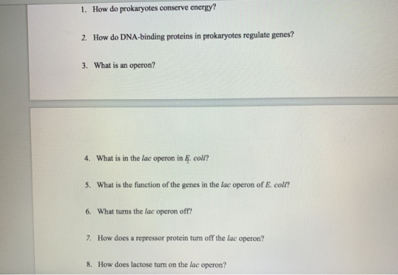 1. How do prokaryotes conserve energy? 2. How do DNA-binding proteins in prokaryotes regulate genes? 3. What is an operon? 4.