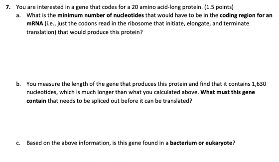 7. You are interested in a gene that codes for a 20 amino acid-long protein. (1.5 points) a. What is the minimum number of nu