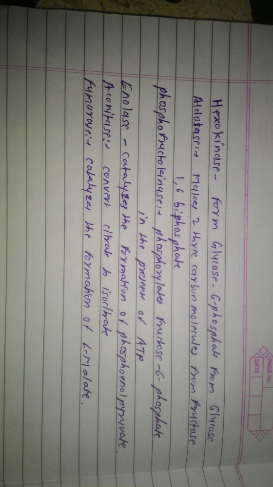 DATE Glyrose ih the pnern of ATP