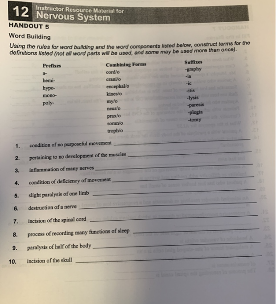 Instructor Resource Material for 12 Nervous System HANDOUT 5 Word Building -ic Using the rules for word building and the word