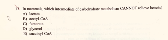 13. In mammals, which intermediate of carbohydrate metabolism CANNOT relieve ketosis? A) lactate B) acetyl-CoA C) fumarate D)