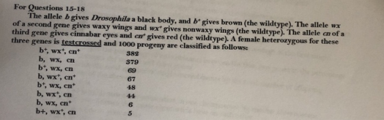 For Questions 15-18 The allele b gives Drosophila a black body, and b gives brown (the wildtype). The allele wx of a second g